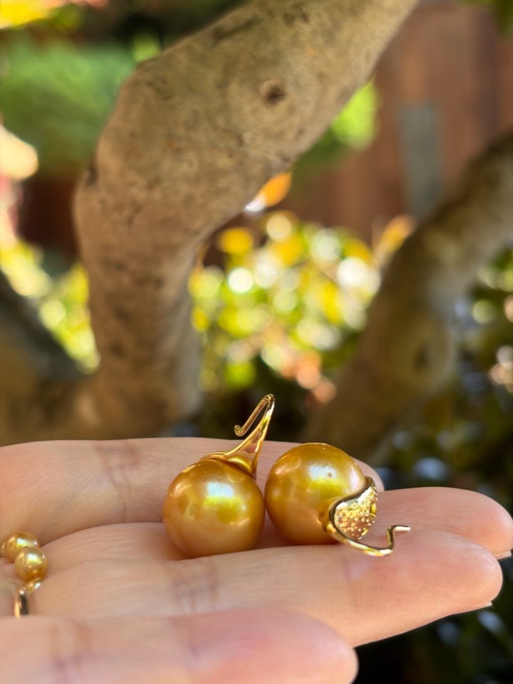 Genuine Edison Pearl in Golden Pearl Drop/Spoon shape Earrings/Gold Plated/13mm